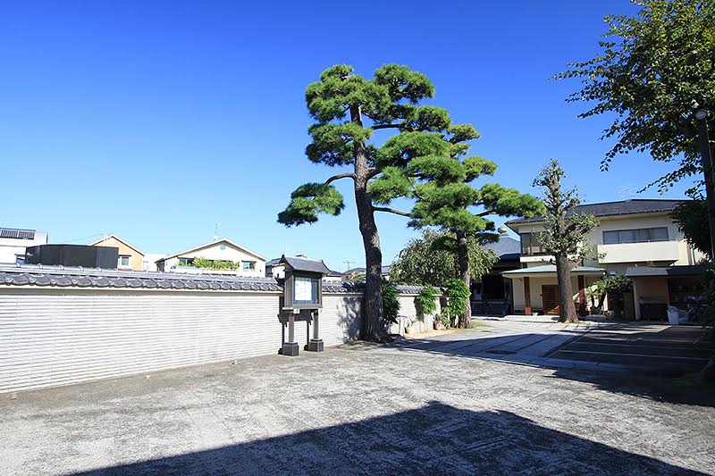 善宗寺